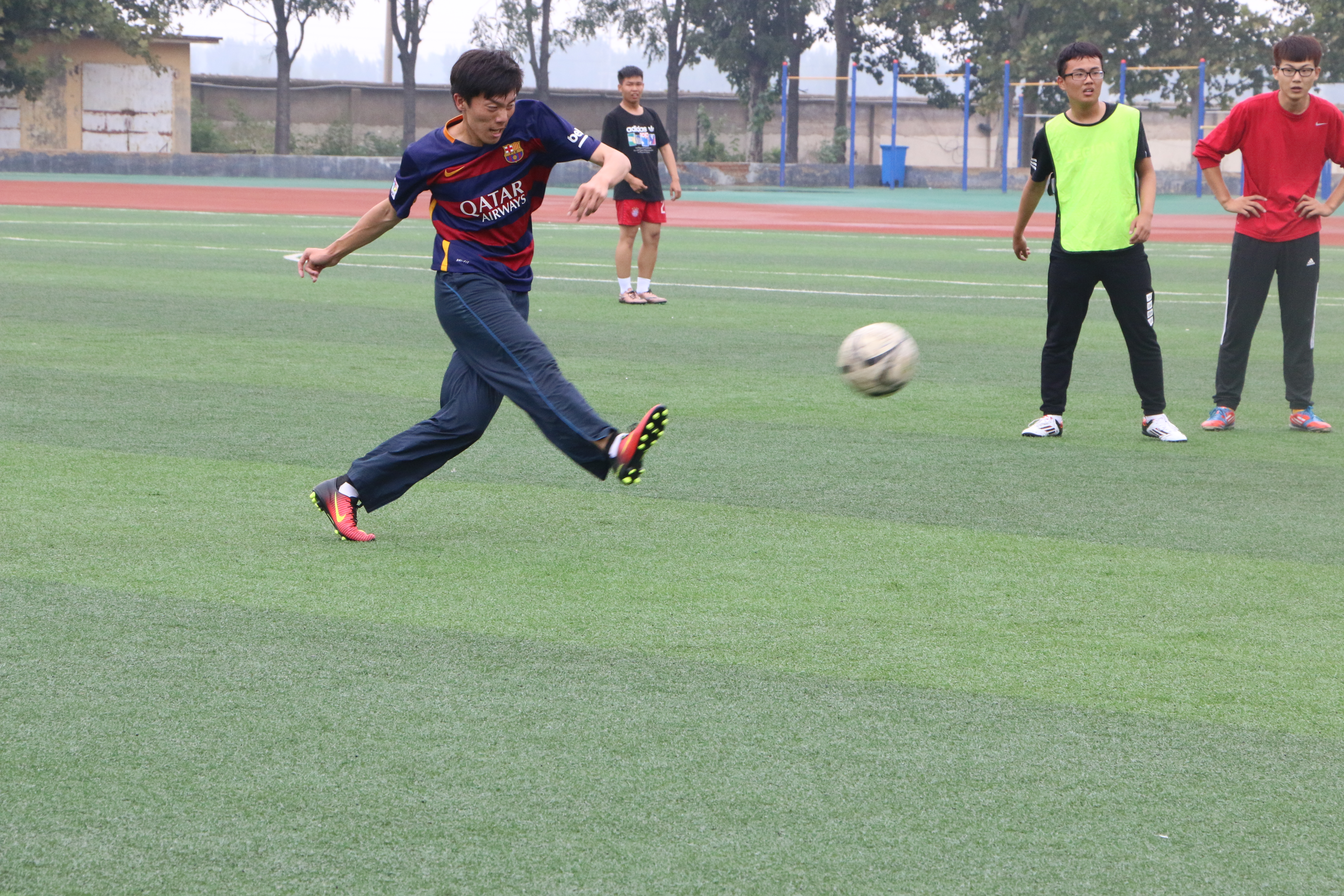 IMG_3195 IMG_3195